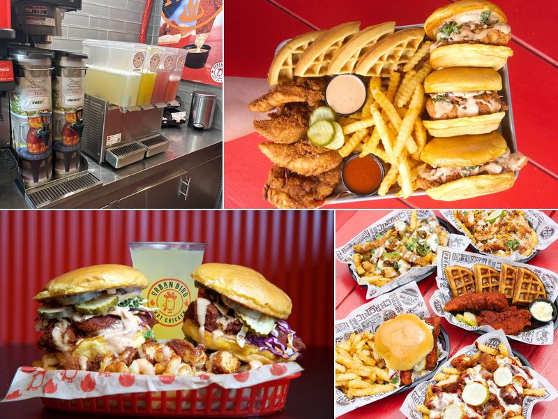 Urban Bird Hot Chicken