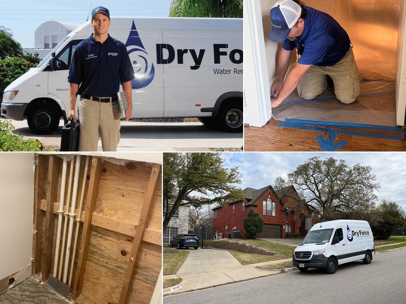 Dry Force Water Removal Specialists