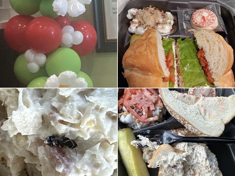 Chicken Salad Chick 3616 US-431, Phenix City