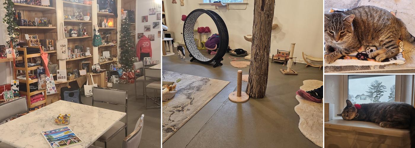 The Pretty Paw Lounge