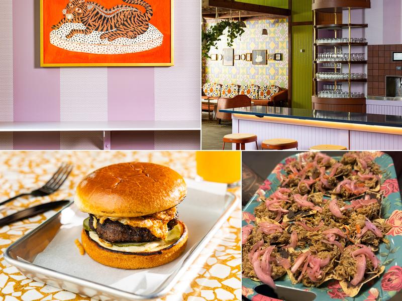 Jaguar Bolera - Raleigh