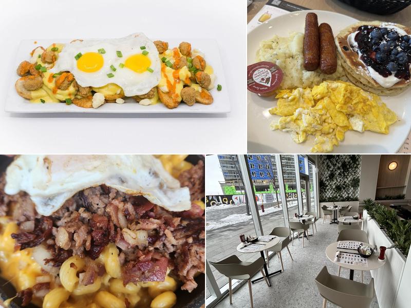 L'Oeufrier Solar (Maintenant ouvert)