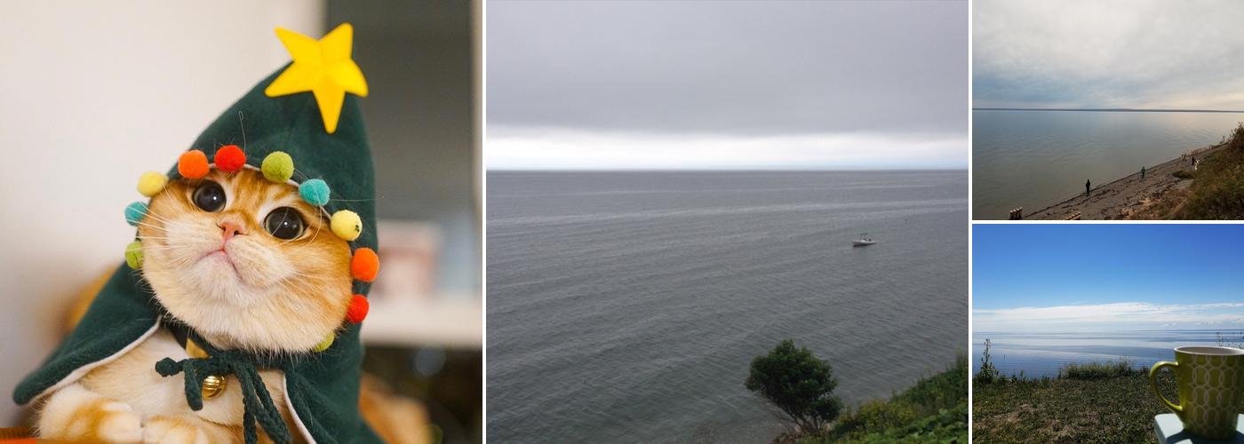 Trailer Park Supervisor