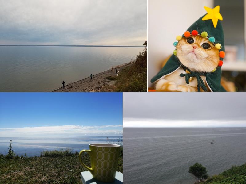 Trailer Park Supervisor 1102 Rue sur Mer, Carleton