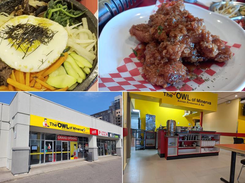 The Owl of Minerva Waterloo