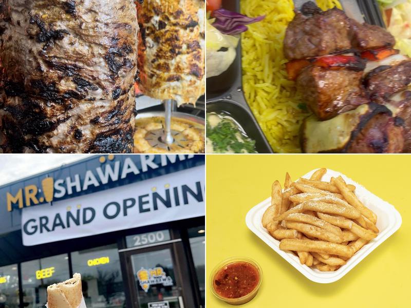Mr. Shawarma Grill 2500 Coon Rapids Blvd NW, Coon Rapids
