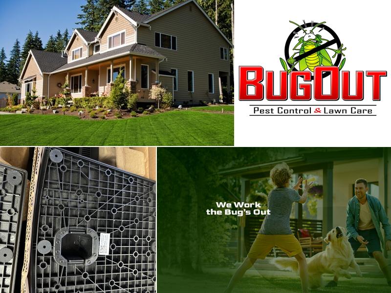 BugOut Pest Control