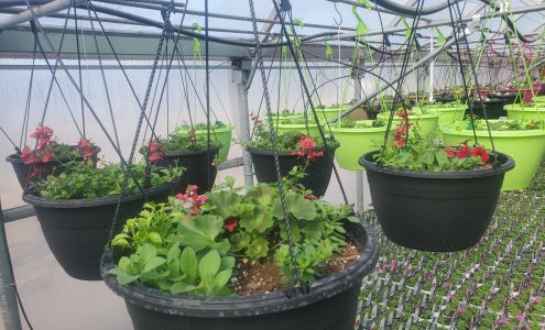 Honeysuckle Garden Centre 4420 Moe Rd, Burns Lake British Columbia V0J 1E1