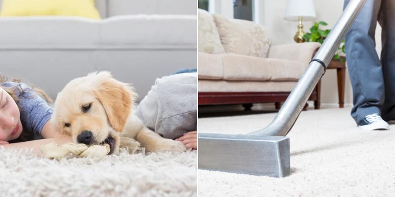 Sheer Brilliance Ltd