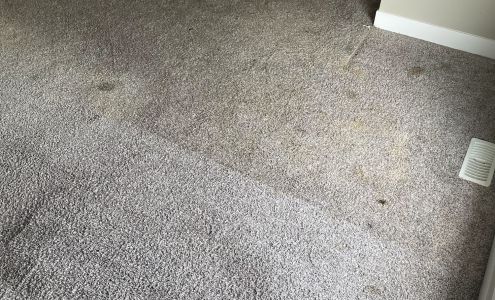 Caress Carpet & Upholstery Care 431 Main St, Woodstock Ontario N4S 1T7