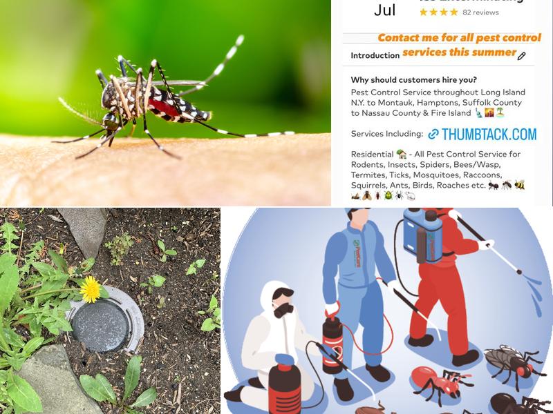 More For Less Exterminating