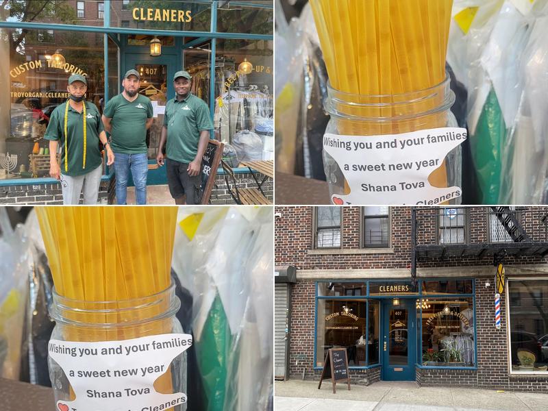 Troy Organic Cleaners