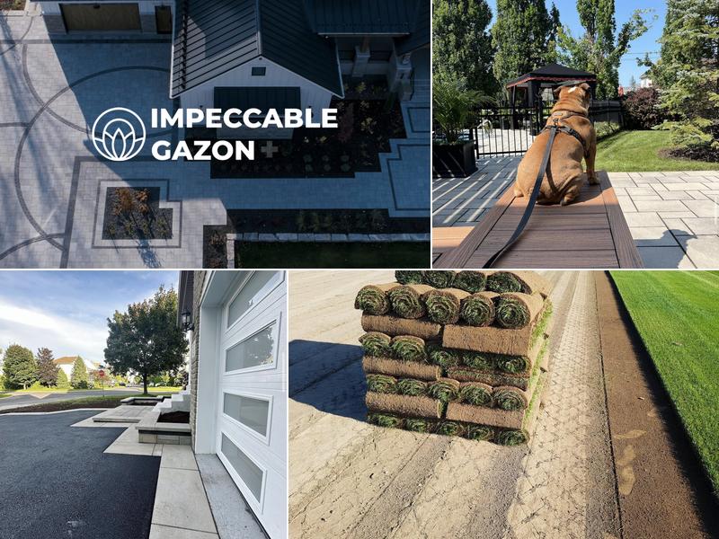 Impeccable Gazon