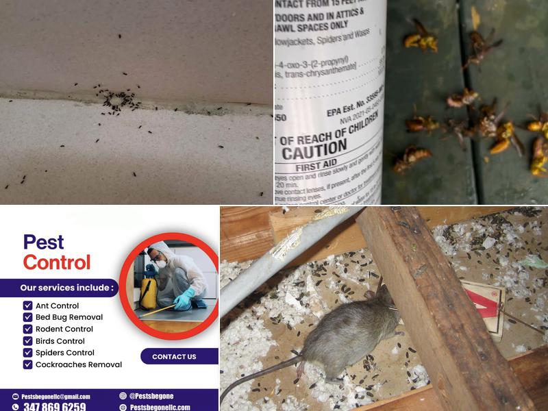 Pests Be Gone Pest Control