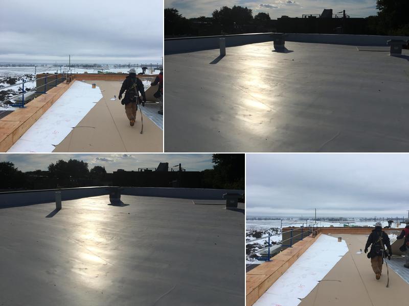 Couverture de La Rive-Nord