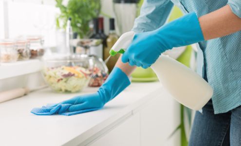 Entretien Menager Helene Leduc