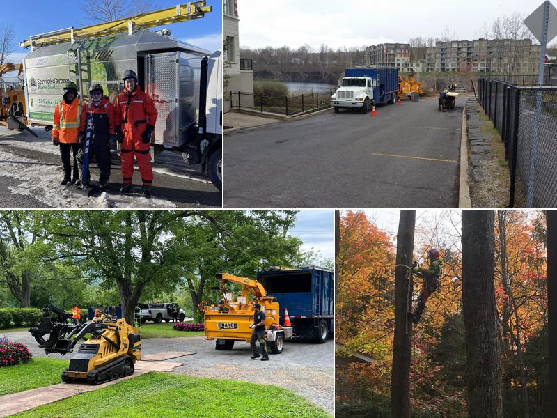 Service d'arbres Rive-Sud