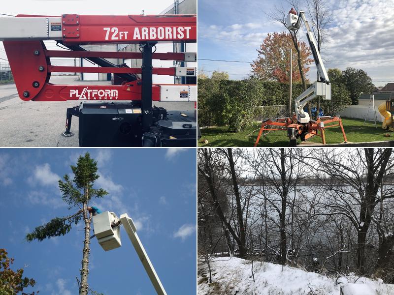 Arboriculteur Viau et Trudeau