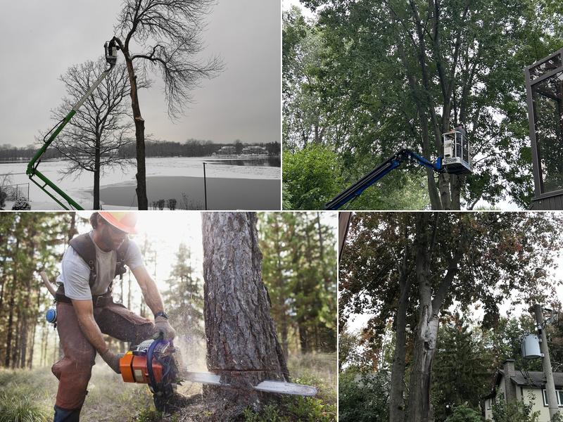 TAS Tree Removal & Pruning