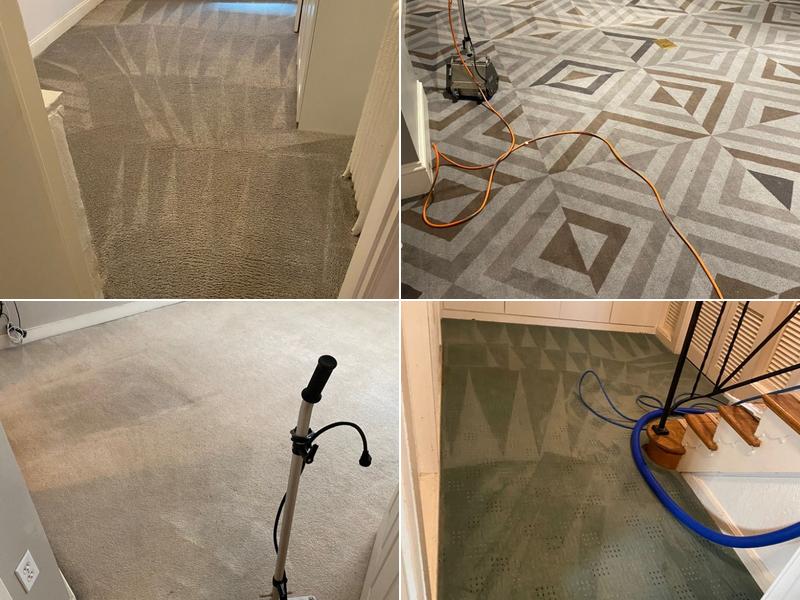 Carpet Cleaning Royals New York