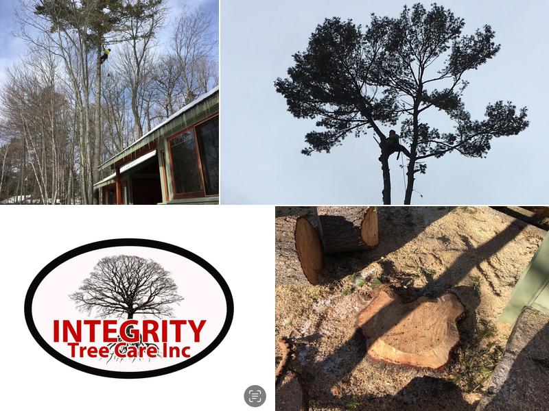 Integrity Tree Care Inc