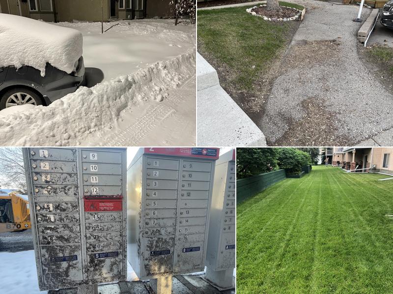 Signature Landscape Maintenance & Construction