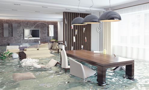 C&N Property Restoration 5217 51 St, St. Paul Alberta T0A 3A1