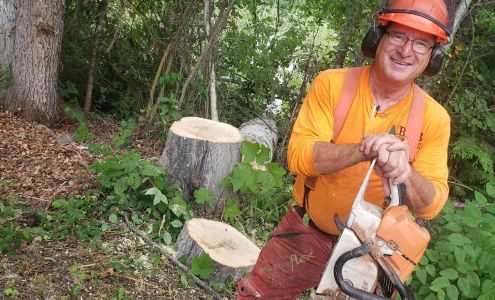 B & B Tree Topping Horse Lake Rd, 100 Mile House British Columbia V0K 2E3