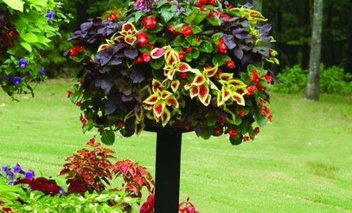 Lavenders Blue Landscaping