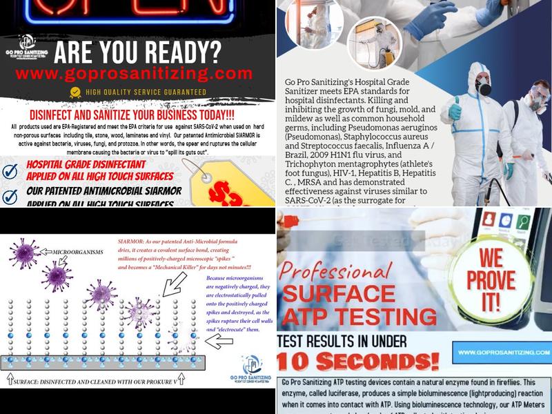 Go Pro Sanitizing LLC