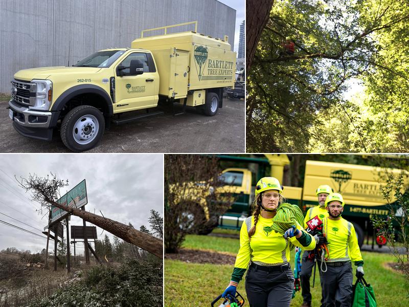 Bartlett Tree Experts