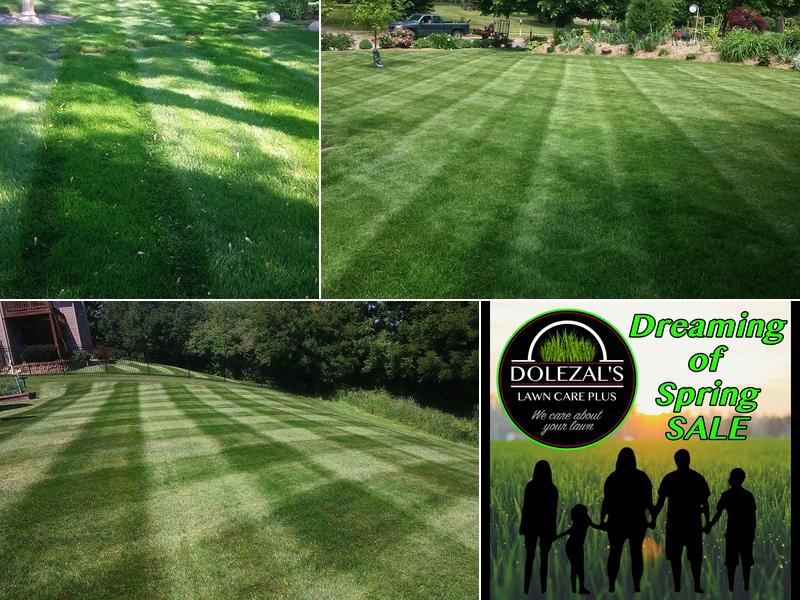 Dolezal's Lawn Care Plus