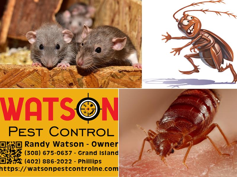 Watson Pest Control in Phillips, NE