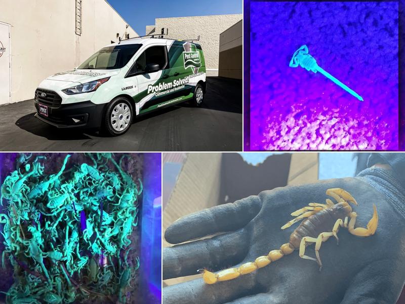 Pest Control Solutions, Inc.