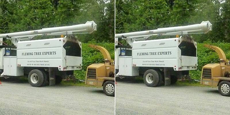 Fleming Tree Experts