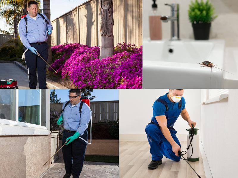 Jim's Insect Management Service