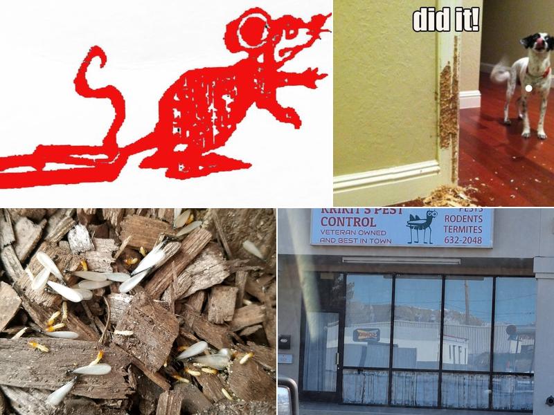 Krikit’s Pest Control