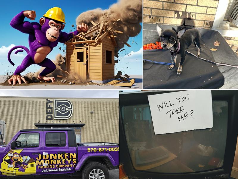 Junken Monkeys Hauling Company