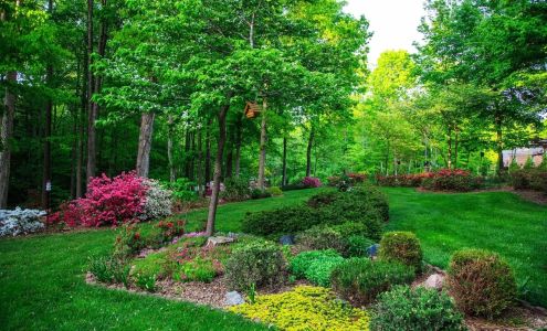 Sinnott Hydroseeding
