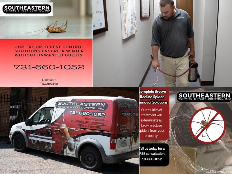 Southeastern Termite & Pest Control