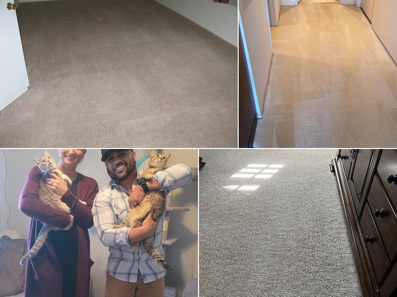 H&L Premier Carpet Care