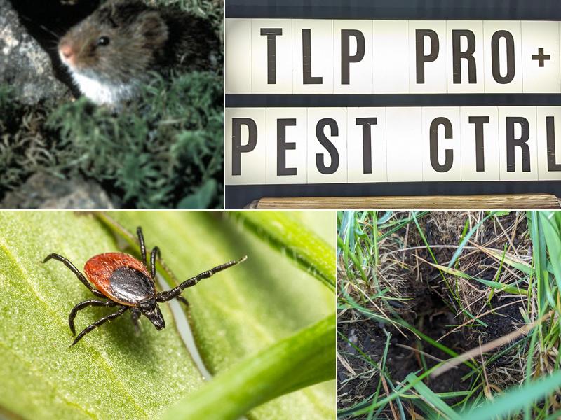 TLP PRO + pest control