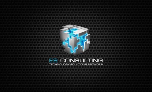 ES Consulting, Inc 3849 Park Ave W, Ontario Ohio 44903
