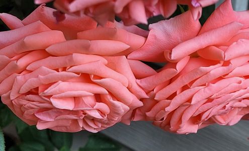 Electrician For Hire