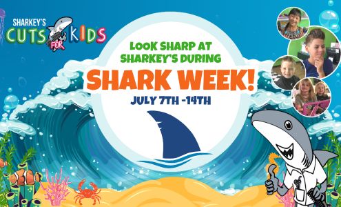 Sharkey's Cuts For Kids - Belden Village - Canton, OH