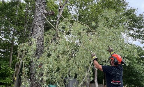 Downeast Tree Services LTD. 118 Hefler Ln, Middle Sackville Nova Scotia B4B 1S1