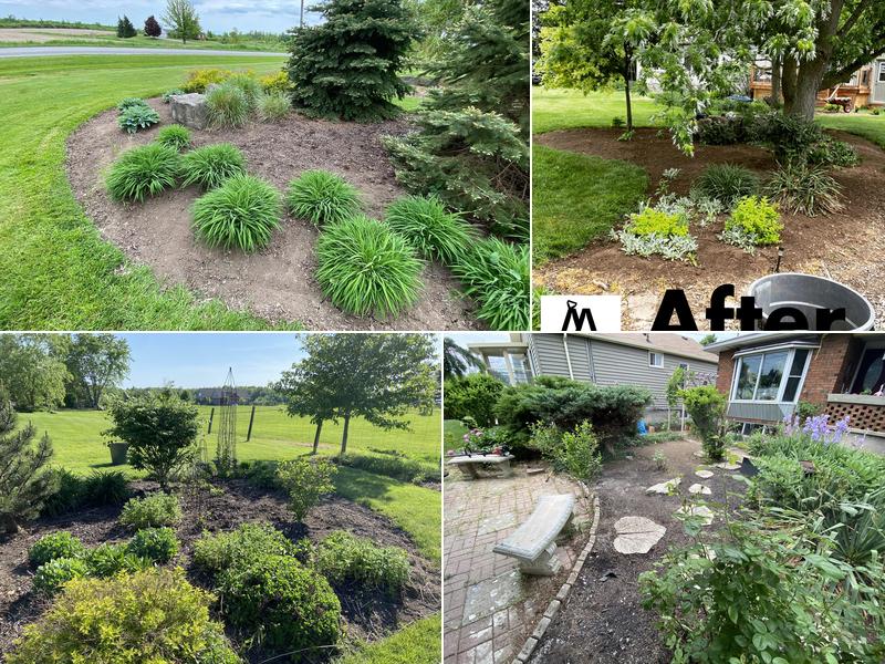 Aleian Double A Landscaping