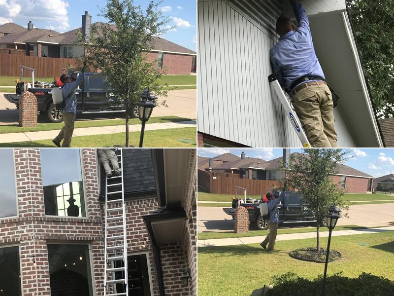 Simply Safe Pest Control