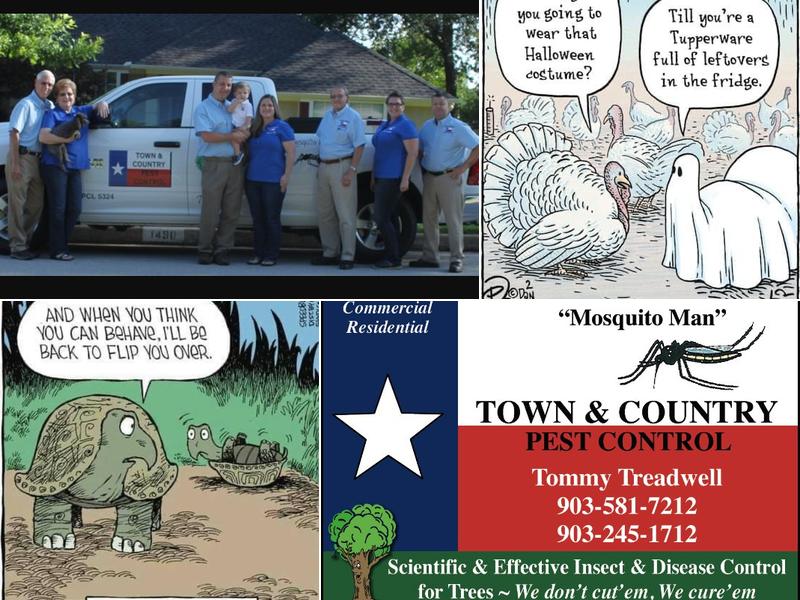 Town & Country Pest Control