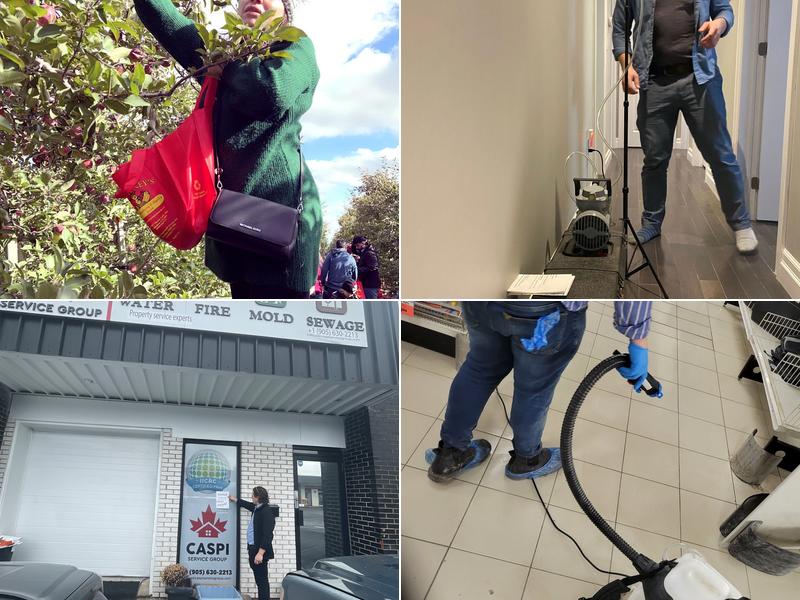 CASPI SERVICE GROUP of Hamilton